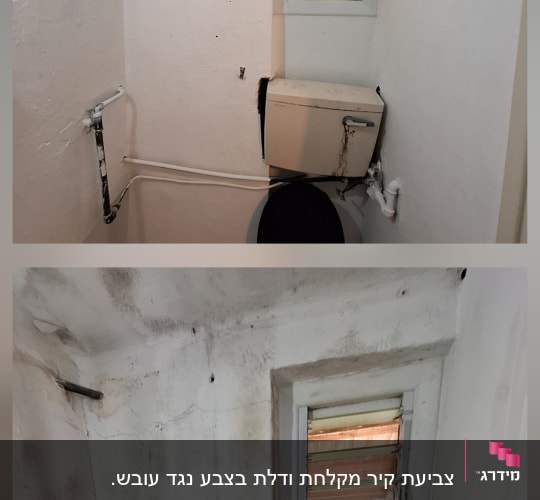 קירות צבועים בשירותים עם חלון קטן ונייר טואלט על מיכל הדחה